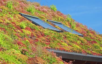 Folla Rule living roof systems